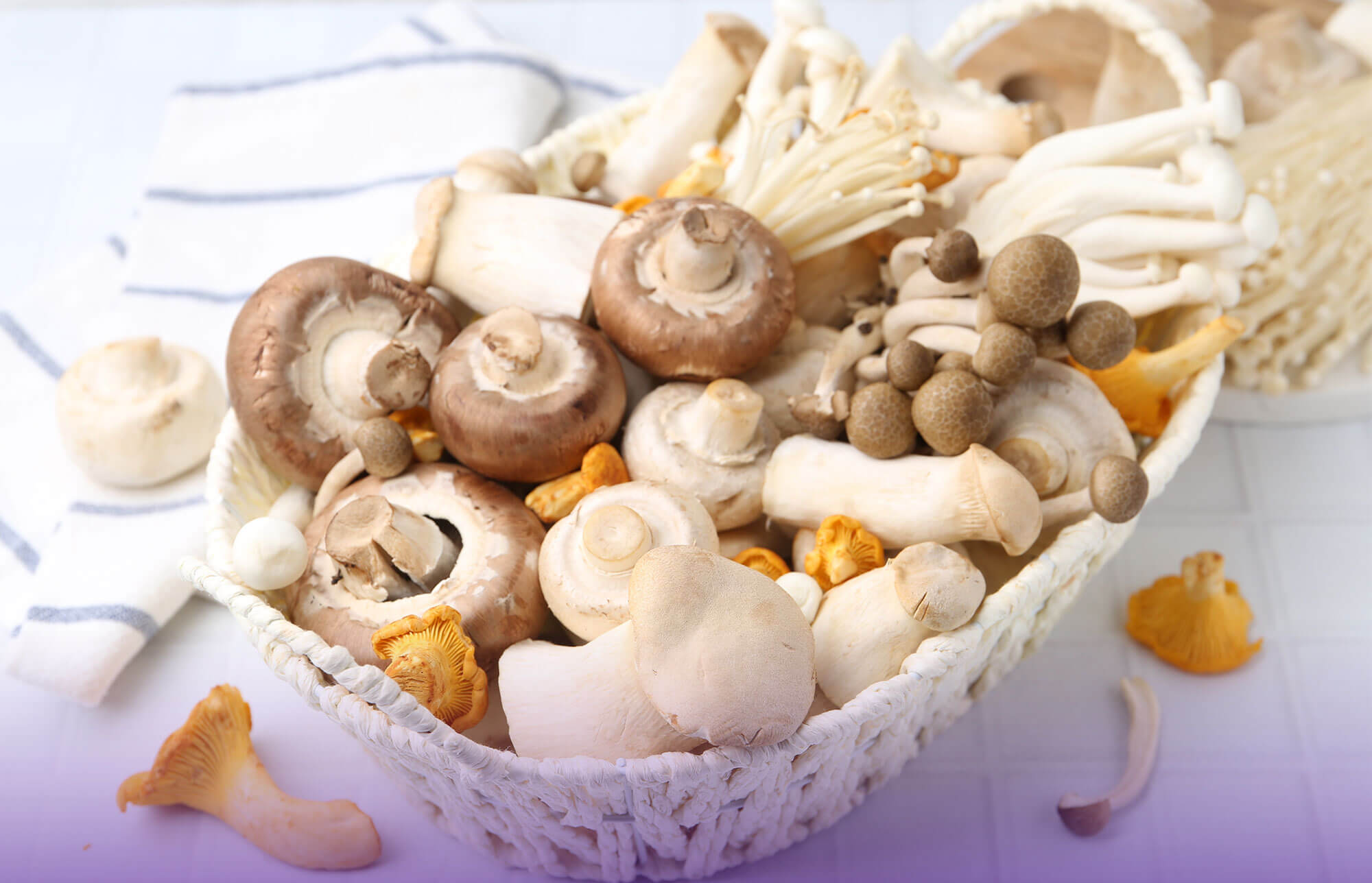 Adaptogenic Mushrooms blog image